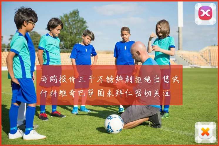 海鸥报价三千万镑热刺拒绝出售武什科维奇巴萨国米拜仁密切关注